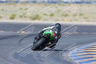 media/Apr-14-2024-SoCal Trackdays (Sun) [[70f97d3d4f]]/2-Turn 11 Backside (935am)/